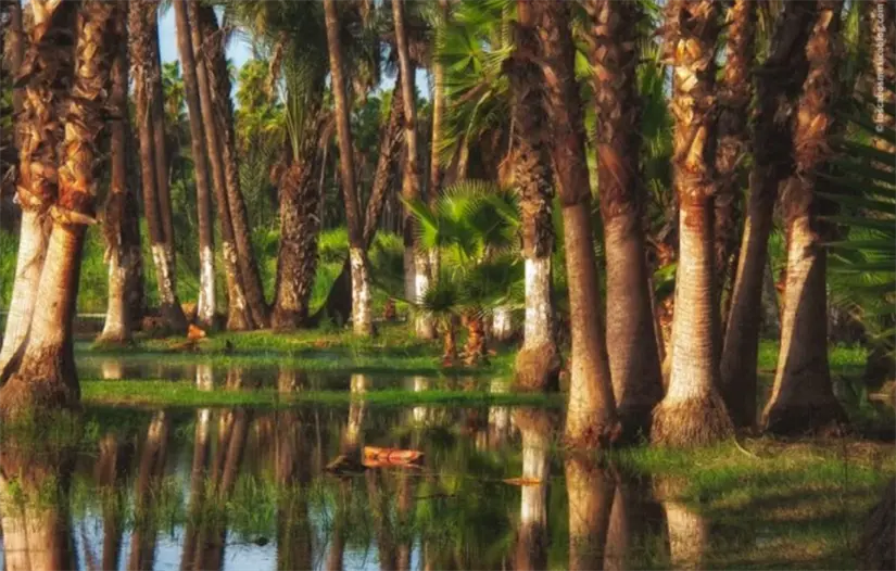 imagen recuadro Foto: Movimiento Antorchista Nacional