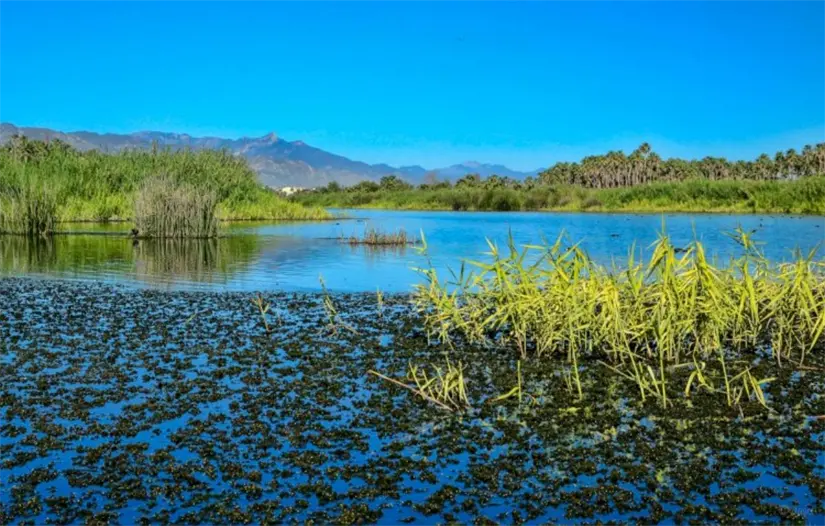 imagen recuadro Foto: Movimiento Antorchista Nacional