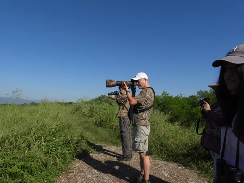 Festival Guacamaya Verde Tropa Pajarera