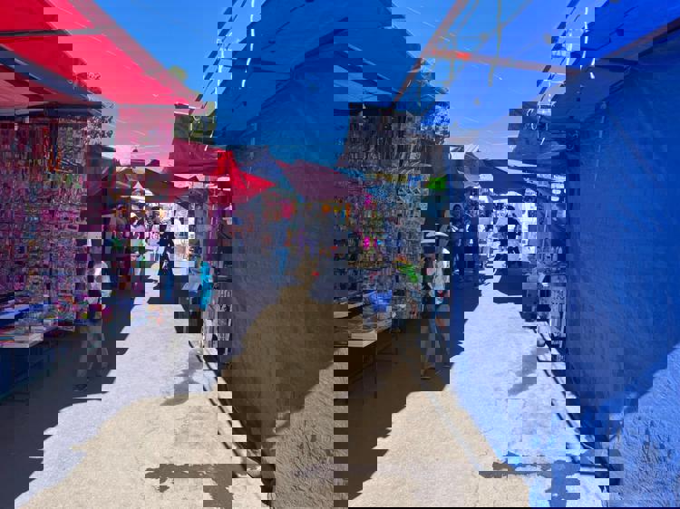 imagen-cuerpo imagen-cuerpo