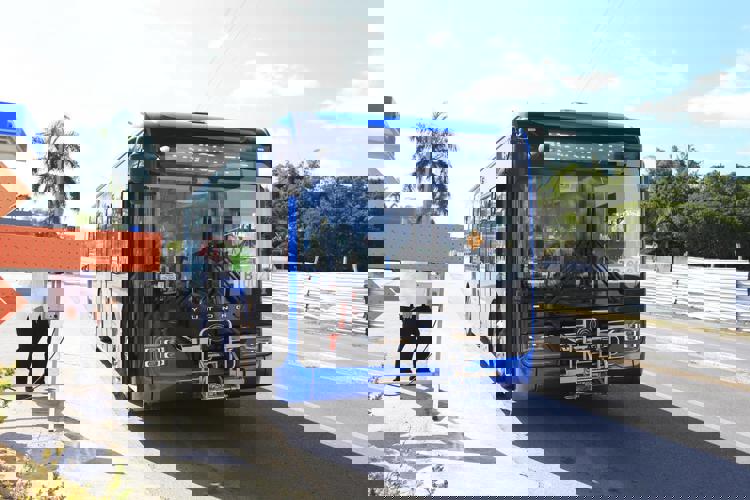 imagen-cuerpo imagen-cuerpo