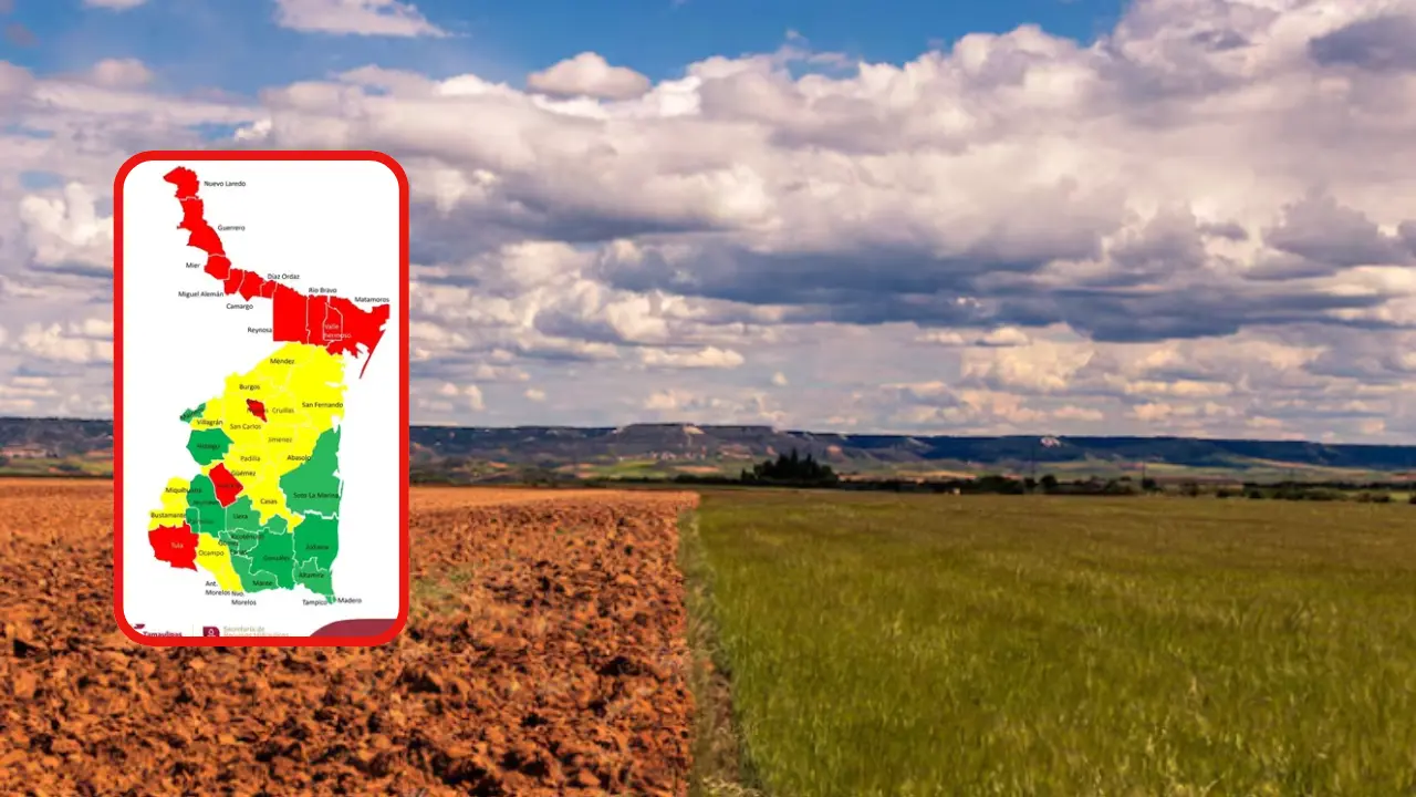 Los municipios más afectados son los fronterizos debido a la presión demográfica | Foto: Secretaría de Recursos Hidráulicos | Freepik