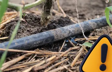 Producción agrícola de Coahuila en alerta por exigencia de agua de EU