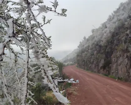 El evento resalta la importancia del Área Natural Protegida Altas Cumbres