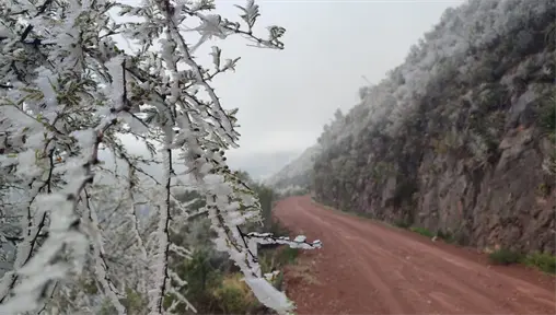 El evento resalta la importancia del Área Natural Protegida Altas Cumbres El evento resalta la importancia del Área Natural Protegida Altas Cumbres