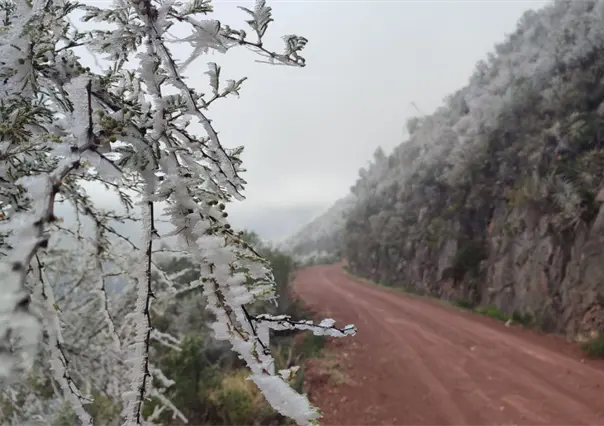 El evento resalta la importancia del Área Natural Protegida Altas Cumbres