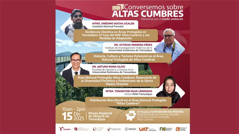 imagen recuadro 4 ponencias