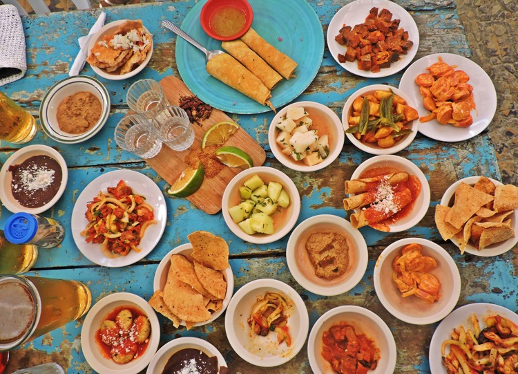 imagen-cuerpo imagen-cuerpo