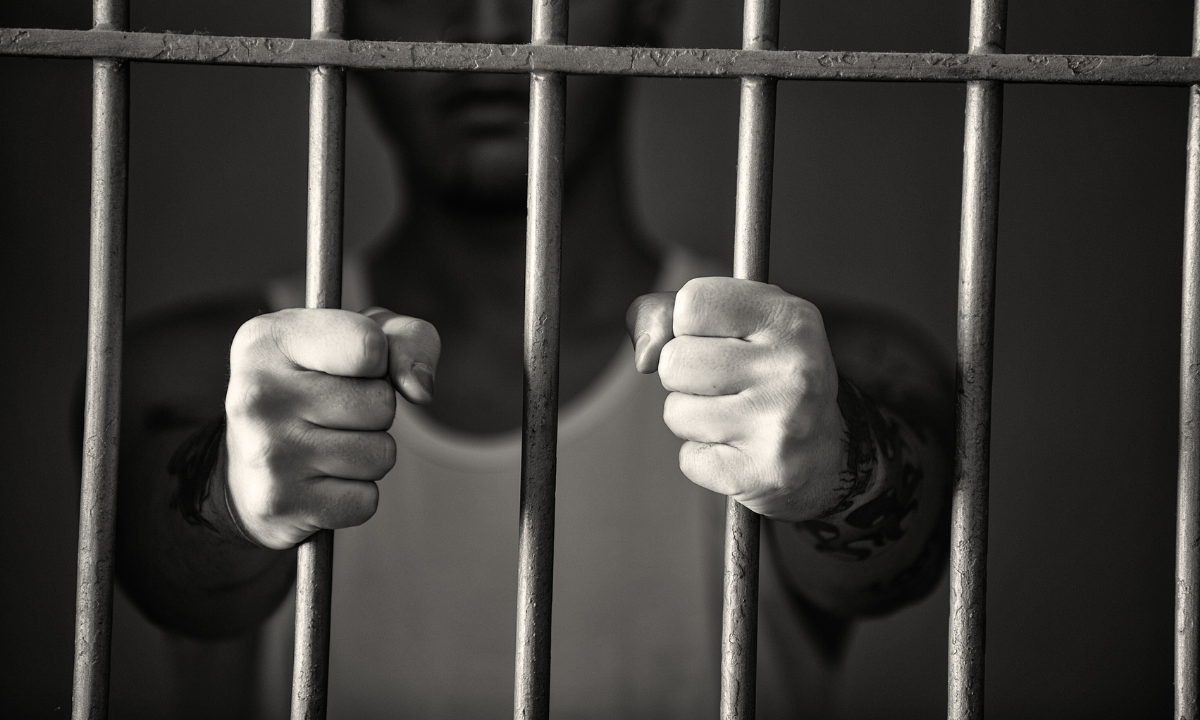 imagen-cuerpo imagen-cuerpo