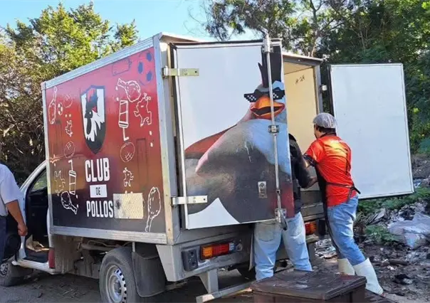 Exhiben a Club de Pollos por desechar menudencias en la vía pública en Tamaulipas