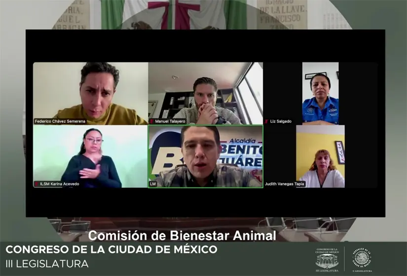 imagen recuadro Reunión de la Comisión de Bienestar animal para la legislación de la prohibición de exhibición de perros y gatos en venta en CDMX | Congreso de la Ciudad de México