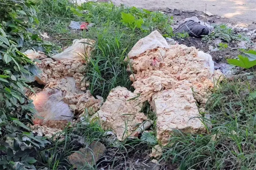 imagen recuadro Presuntos trabajadores de Club de Pollos arrojaron carne y desperdicios en la brecha de La Pedrera, muy cerca de las viviendas. Foto: Axel Hassel