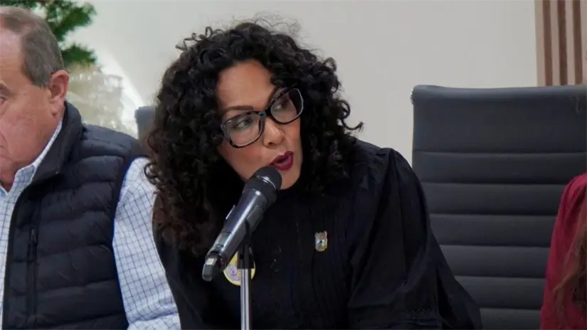 imagen recuadro La diputada Cynthia Jaime presentará una denuncia para que se investigue y se sancione al responsable | Foto: Cynthia Jaime