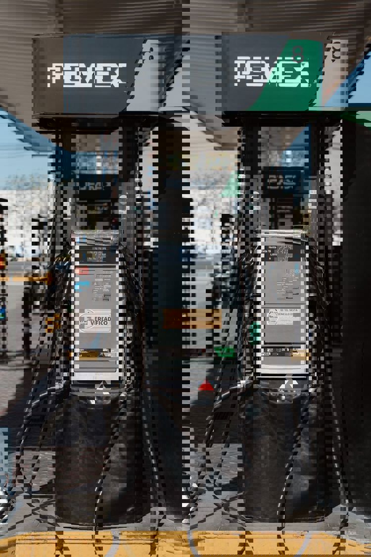 imagen-cuerpo imagen-cuerpo