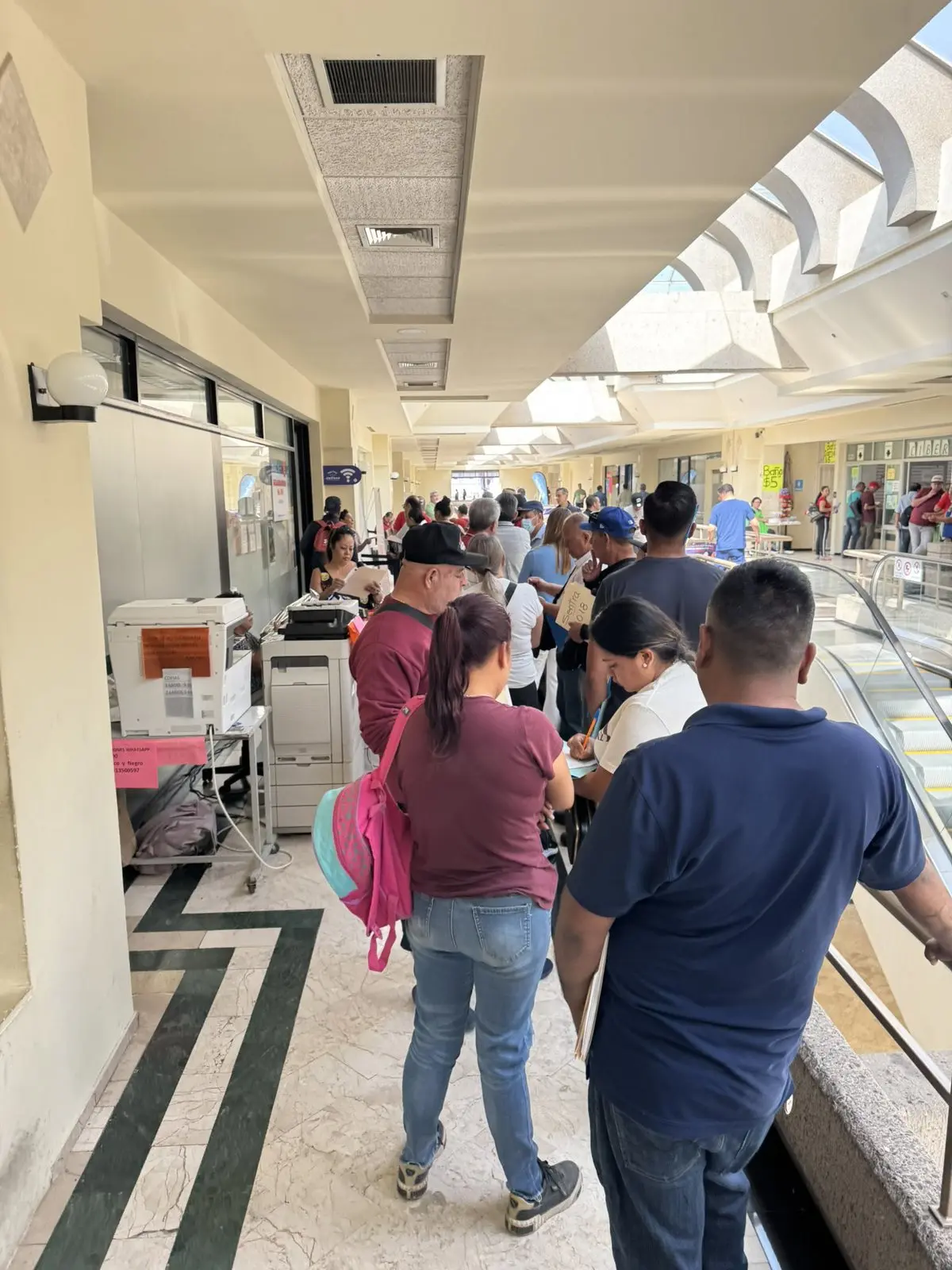 imagen recuadro Solo podrán circular en 2026 los vehículos que porten las placas “Collage” (2019) o el nuevo diseño “Cabañas”, puesto en marcha a principios de 2025. Foto: X (@edithTiDi)