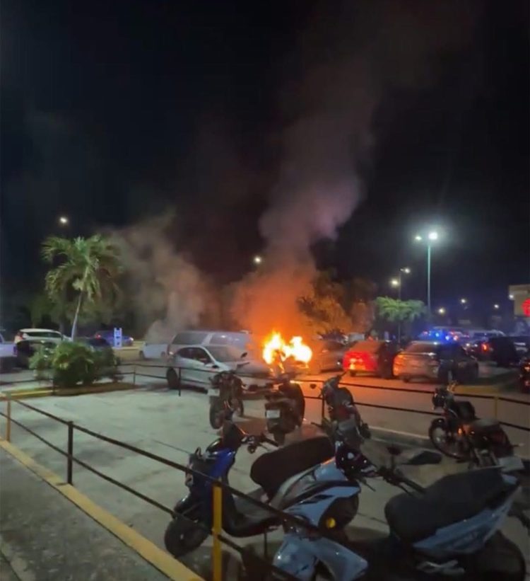 imagen-cuerpo imagen-cuerpo