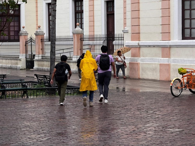 imagen-cuerpo imagen-cuerpo