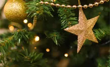 Feria del Pino 2025: 5 trucos para que el pino natural dure más tiempo Feria del Pino 2025: 5 trucos para que el pino natural dure más tiempo