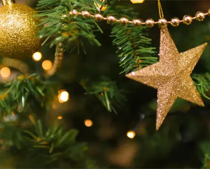 Feria del Pino 2025: 5 trucos para que el pino natural dure más tiempo