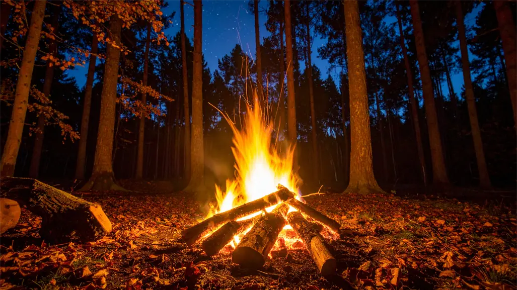 ¿Irás a la sierra de Durango en el invierno 2025 - 2026? Evita así los incendios forestales