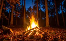 ¿Irás a la sierra de Durango en el invierno 2025 - 2026? Evita así los incendios forestales ¿Irás a la sierra de Durango en el invierno 2025 - 2026? Evita así los incendios forestales