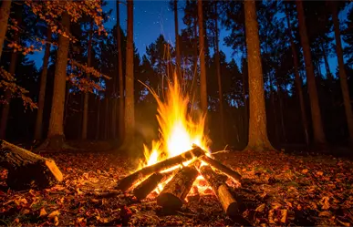 ¿Irás a la sierra de Durango en el invierno 2025 - 2026? Evita así los incendios forestales