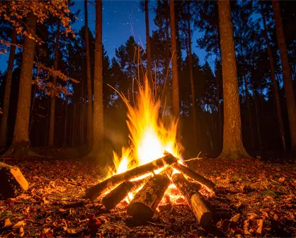 ¿Irás a la sierra de Durango en el invierno 2025 - 2026? Evita así los incendios forestales