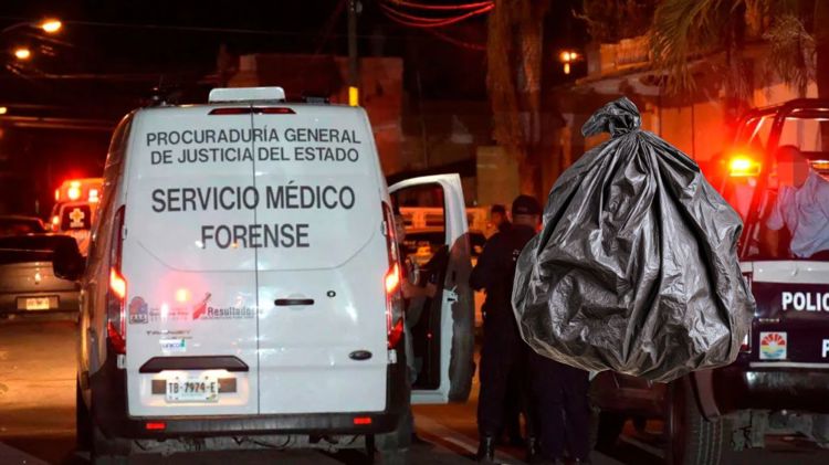 imagen-cuerpo imagen-cuerpo