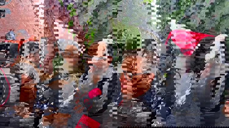 imagen-cuerpo imagen-cuerpo