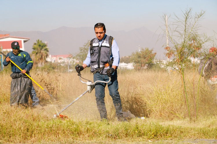 imagen-cuerpo imagen-cuerpo