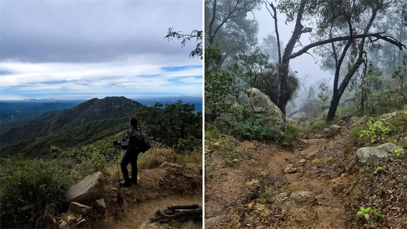 imagen recuadro La Sierra de la Laguna es un Área de Protección de Flora y Fauna y una de las principales zonas de recarga de agua dulce para Baja California Sur. Foto: Ángel Alpízar / Facebook
