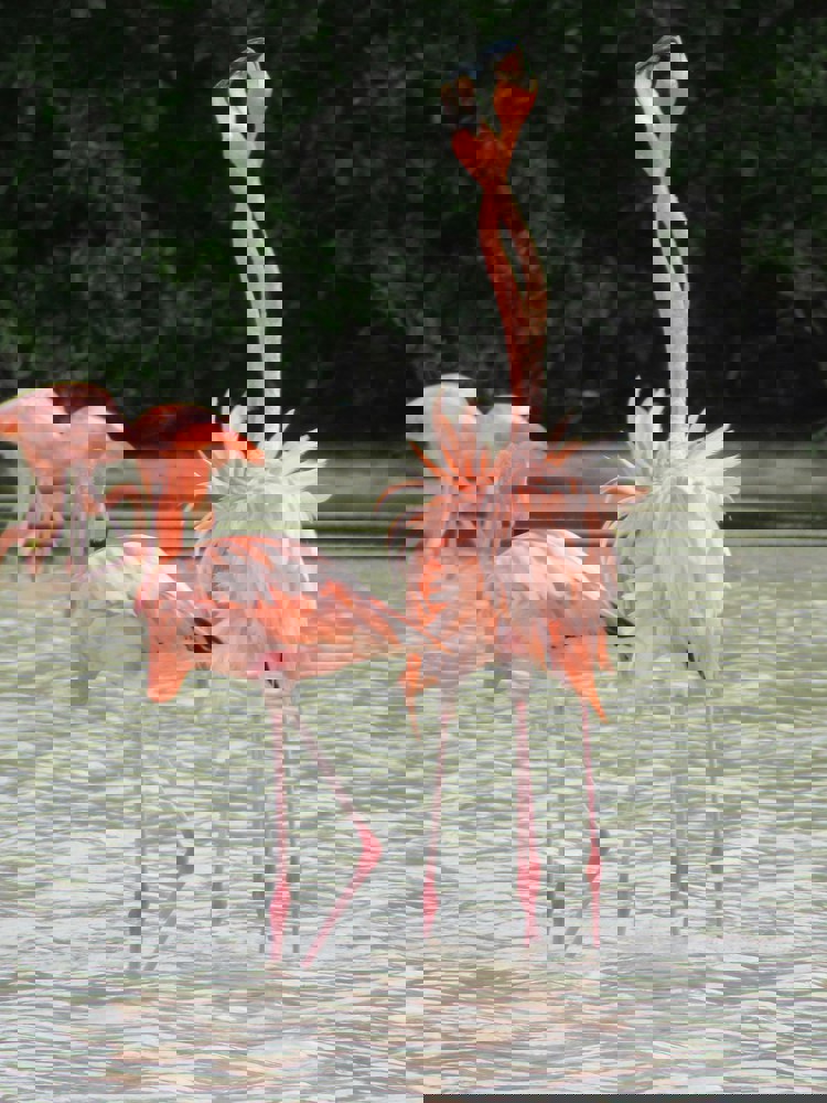 imagen-cuerpo imagen-cuerpo