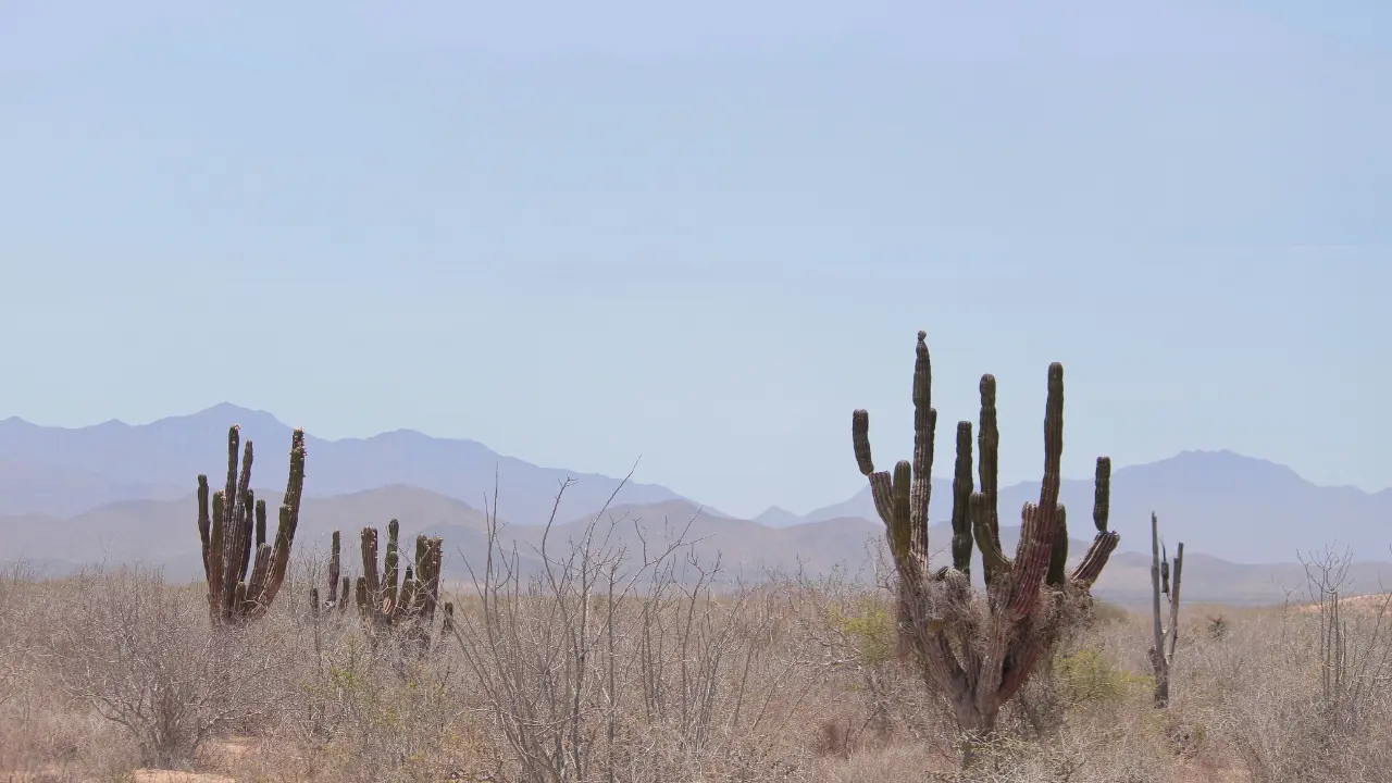 El ambiente en Baja California Sur se mantendrá templado, con máximas de 26°C a 32°C según la zona. Foto: Archivo POSTA Baja California Sur