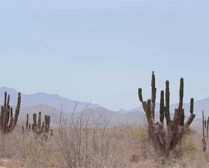 ¿Cómo estará el clima hoy 13 de diciembre en BCS? Municipios tendrán máximas de hasta 30°C