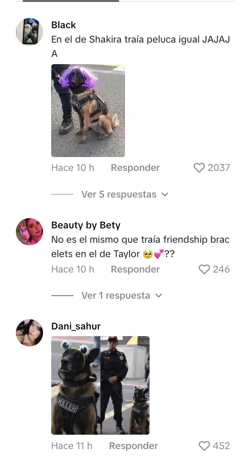imagen recuadro Comentarios ante las fotos de Killer, perro policía de CDMX vestido de Bad Bunny durante sus conciertos en el Estadio GNP. Foto: captura TikTok