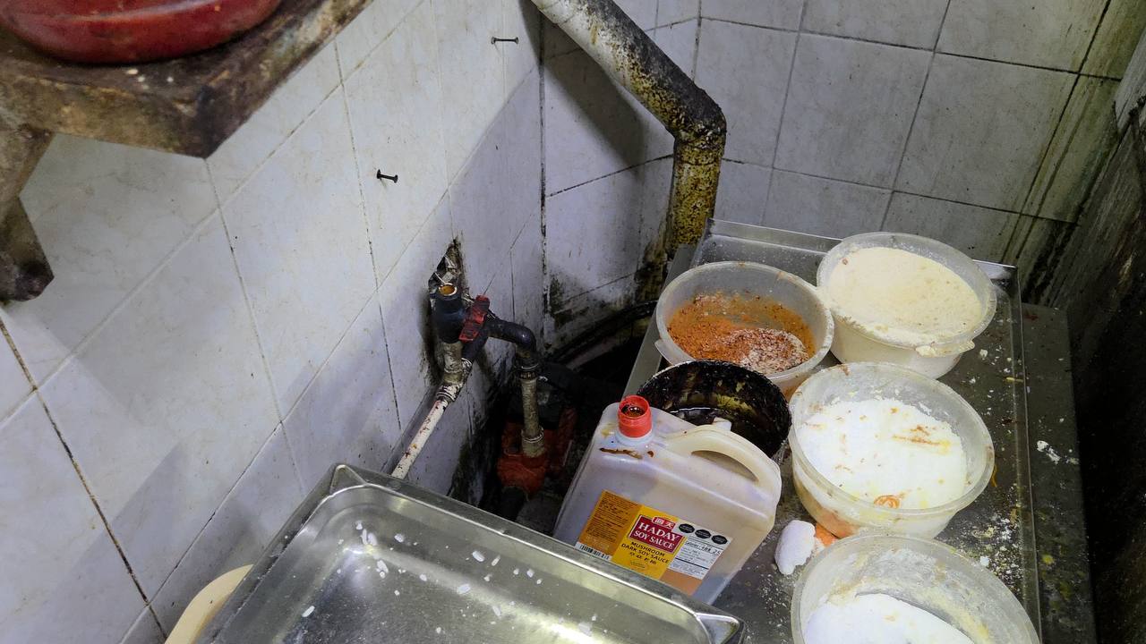 imagen-cuerpo imagen-cuerpo