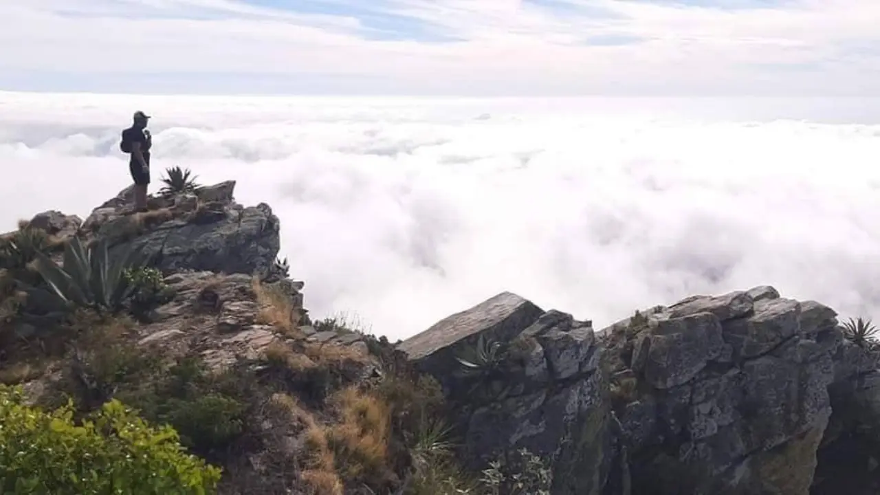 La Sierra de la Laguna ofrece una de las pocas experiencias en Baja California Sur donde el paisaje cambia por completo conforme se gana altura. Foto: Reserva de la Biosfera Sierra La Laguna / Facebook