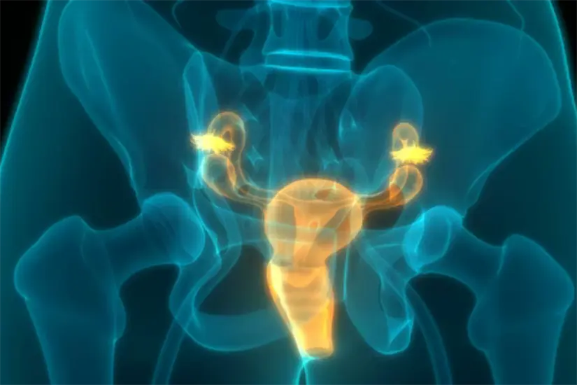 Cancer de próstata Foto: Unsplash