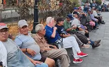 La Plaza de los Pájaros Caídos en Tampico: un refugio para abuelitos La Plaza de los Pájaros Caídos en Tampico: un refugio para abuelitos