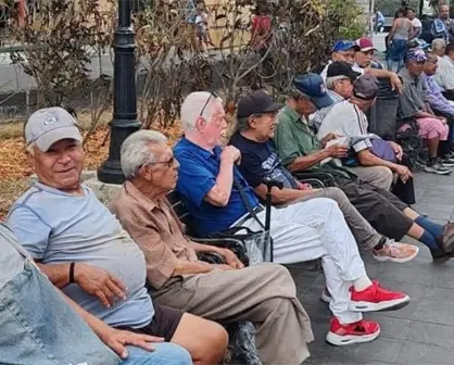La Plaza de los Pájaros Caídos en Tampico: un refugio para abuelitos