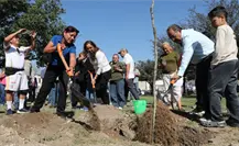 Escobedo avanza hacia un entorno más verde con reforestación comunitaria