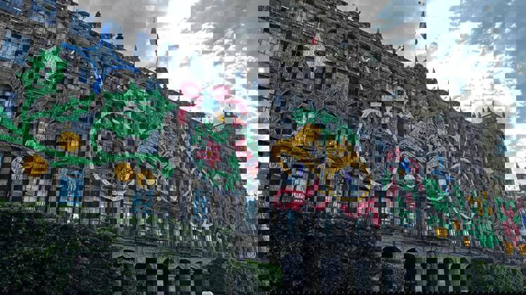 imagen-cuerpo imagen-cuerpo