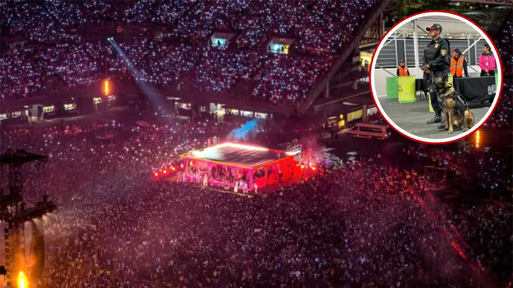 Perro policía de CDMX se vuelve viral por vestir como Bad Bunny durante operativos de su concierto