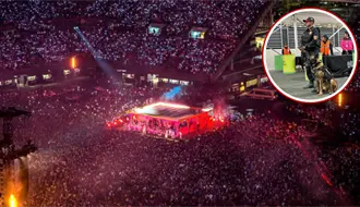 Perro policía de CDMX se vuelve viral por vestir como Bad Bunny durante operativos de su concierto