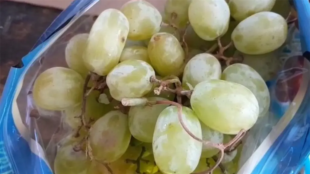 Precio de la uva en La Paz: dónde comprar más barato para tu cena navideña