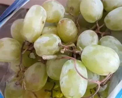 Precio de la uva en La Paz: dónde comprar más barato para tu cena navideña