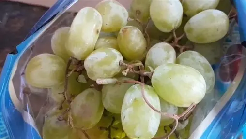 Precio de la uva en La Paz: dónde comprar más barato para tu cena navideña Precio de la uva en La Paz: dónde comprar más barato para tu cena navideña