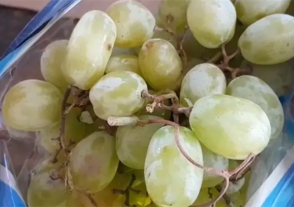 Precio de la uva en La Paz: d&oacute;nde comprar m&aacute;s barato para tu cena navide&ntilde;a