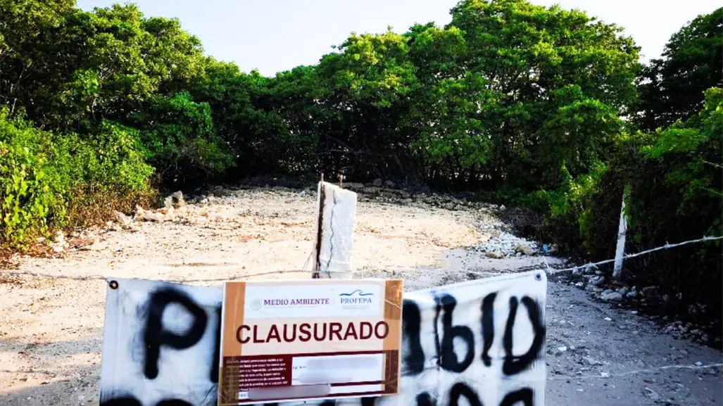 Clausuras, aseguramientos y rescates: recuento de acciones de Profepa en Yucatán durante 2025