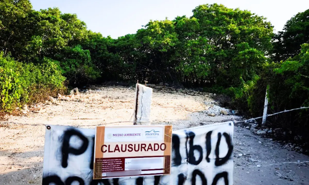 Durante 2025, Profepa impulsó acciones que protegen su riqueza natural y atienden las necesidades ambientales en Yucatán Foto: Profepa
